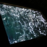 DSCN5160