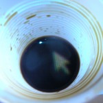 DSCN5177
